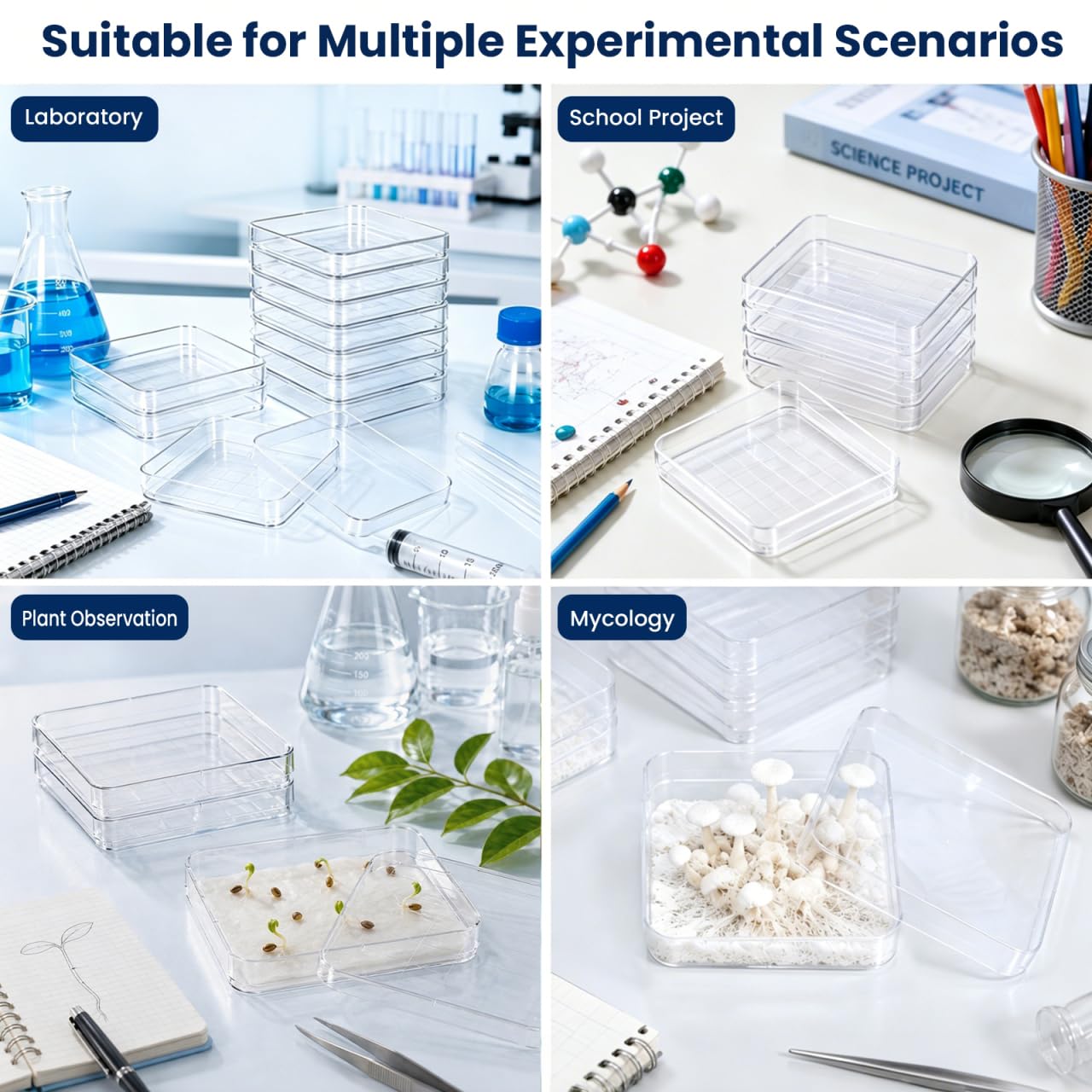 MAGICLULU 10 pièces Boîtes Pétri Carrées avec Couvercle Boîtes Pétri Transparentes pour Microbiologie Recherche Botanique Projets Scolaires et Laboratoire Scientifique