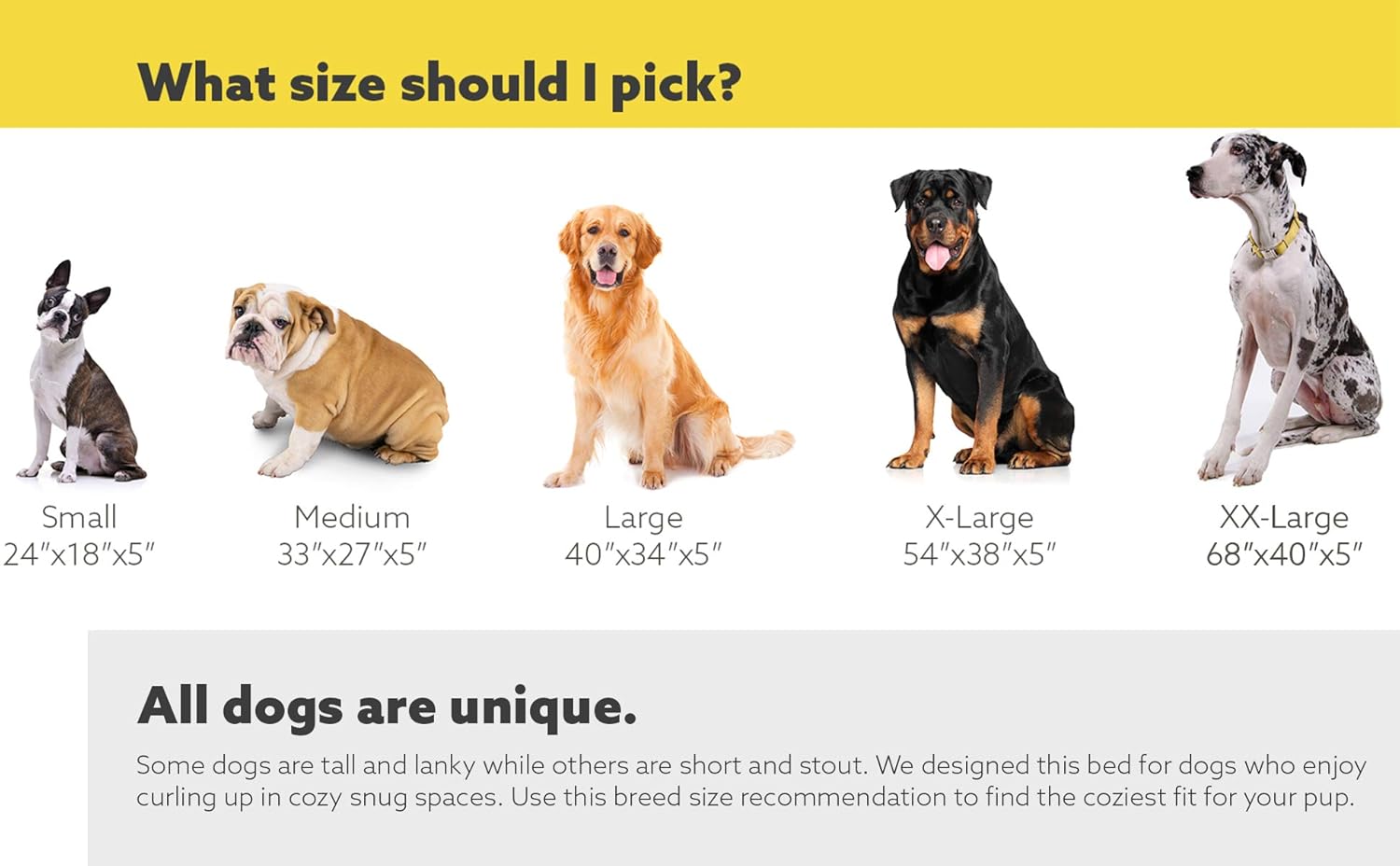 canine ballistics bed