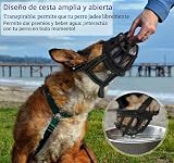 Ver la foto 4