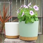Plant Pots 2 Pack Flower Pots for Indoor Plants Pots Planters for Indoor Plants with Drainage Holes and Saucers Pots for Plants Flower Pot for Indoor Outdoor Garden Planters (White, 6.5 inch)