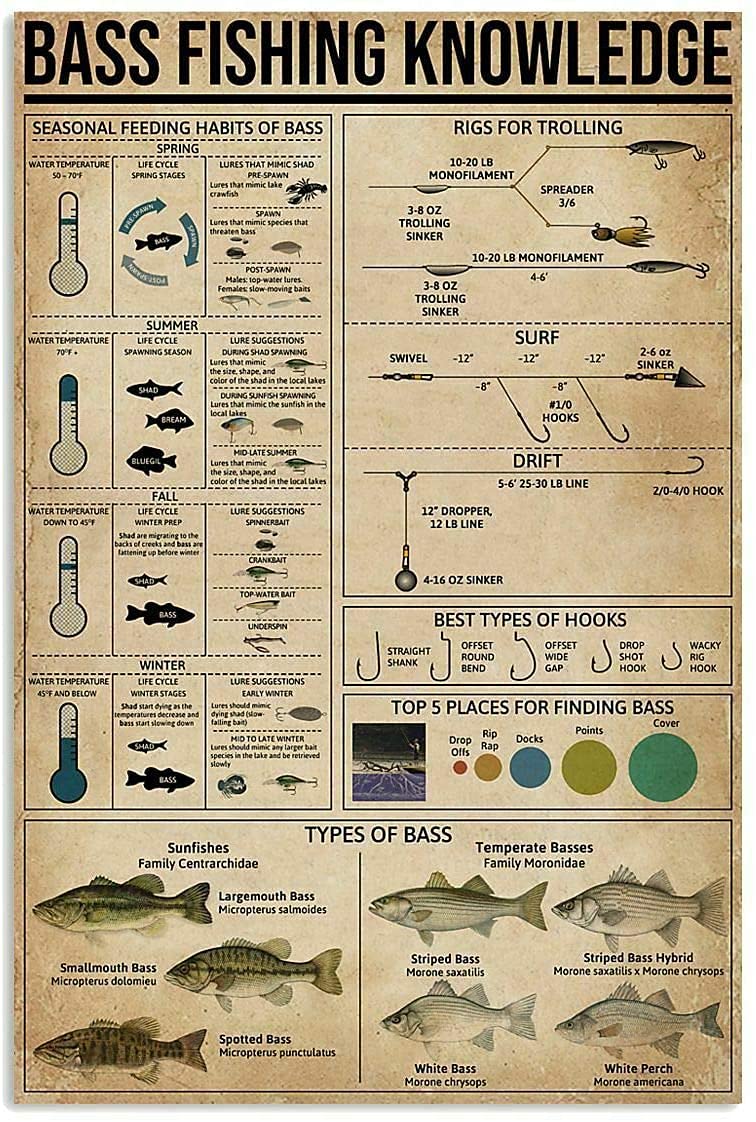 Kueprae A593 Metal Sign Bass Fishing Knowledge Tin Metal Sign Bar Home Decoration 8X12 Inch