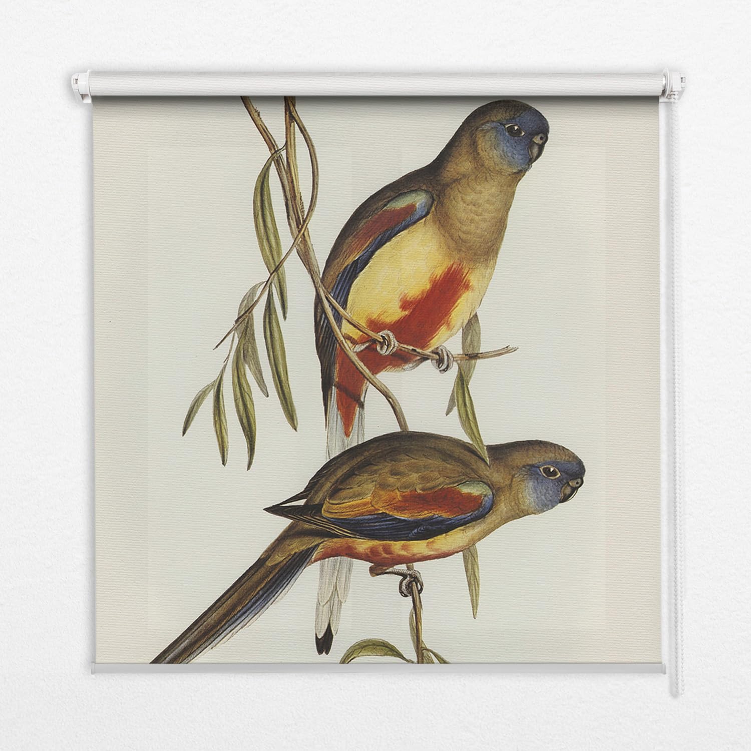 Store enrouleur perméable sans perçage Tulup 50x50cm oiseaux