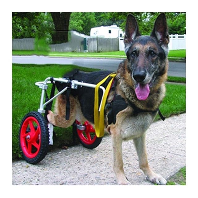 KHUY Silla de Ruedas para Perro Sillas de Ruedas Carrito de Mascotas Silla de Ruedas Perros Piernas Traseras…