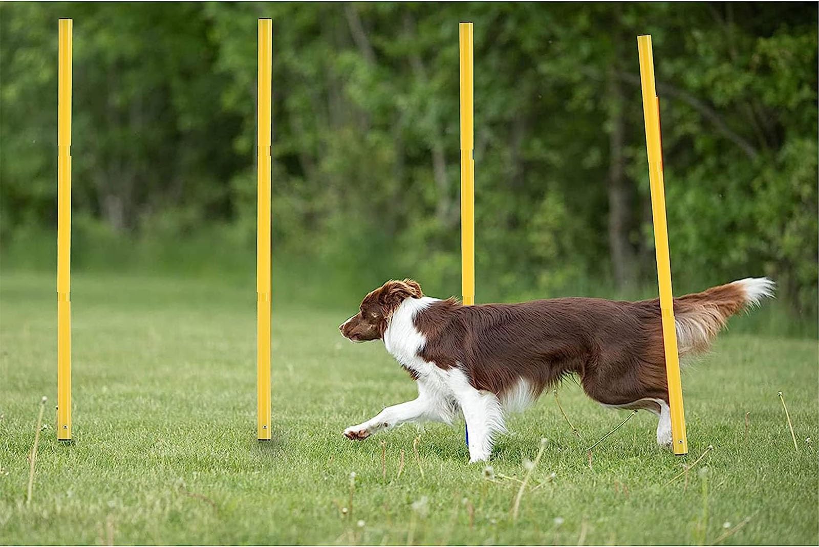 Juego de bastones de entrenamiento de agilidad con picos de metal para mejorar la velocidad y el juego de pies