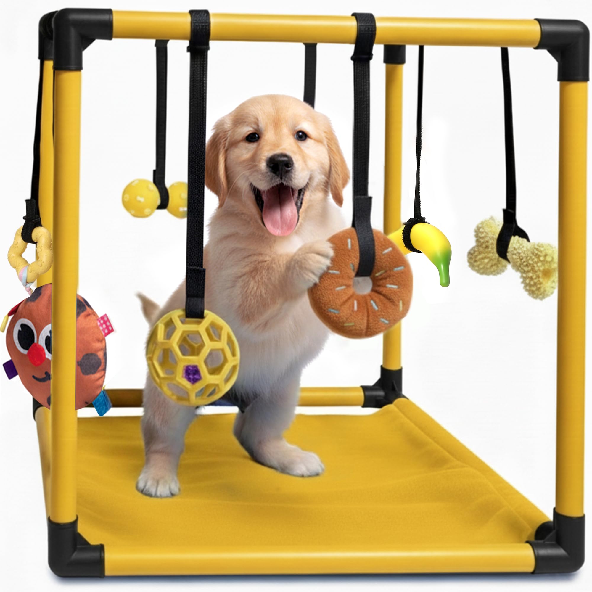 Race&Herd Puppy Play Gym, Dog Play Mat, 8 Bungee Straps Interactive Puppy Active Toys - Small Dog Jungle Gym 19.5" Frame with Playground Set Indoor Enrichment Activity Center (Gold)