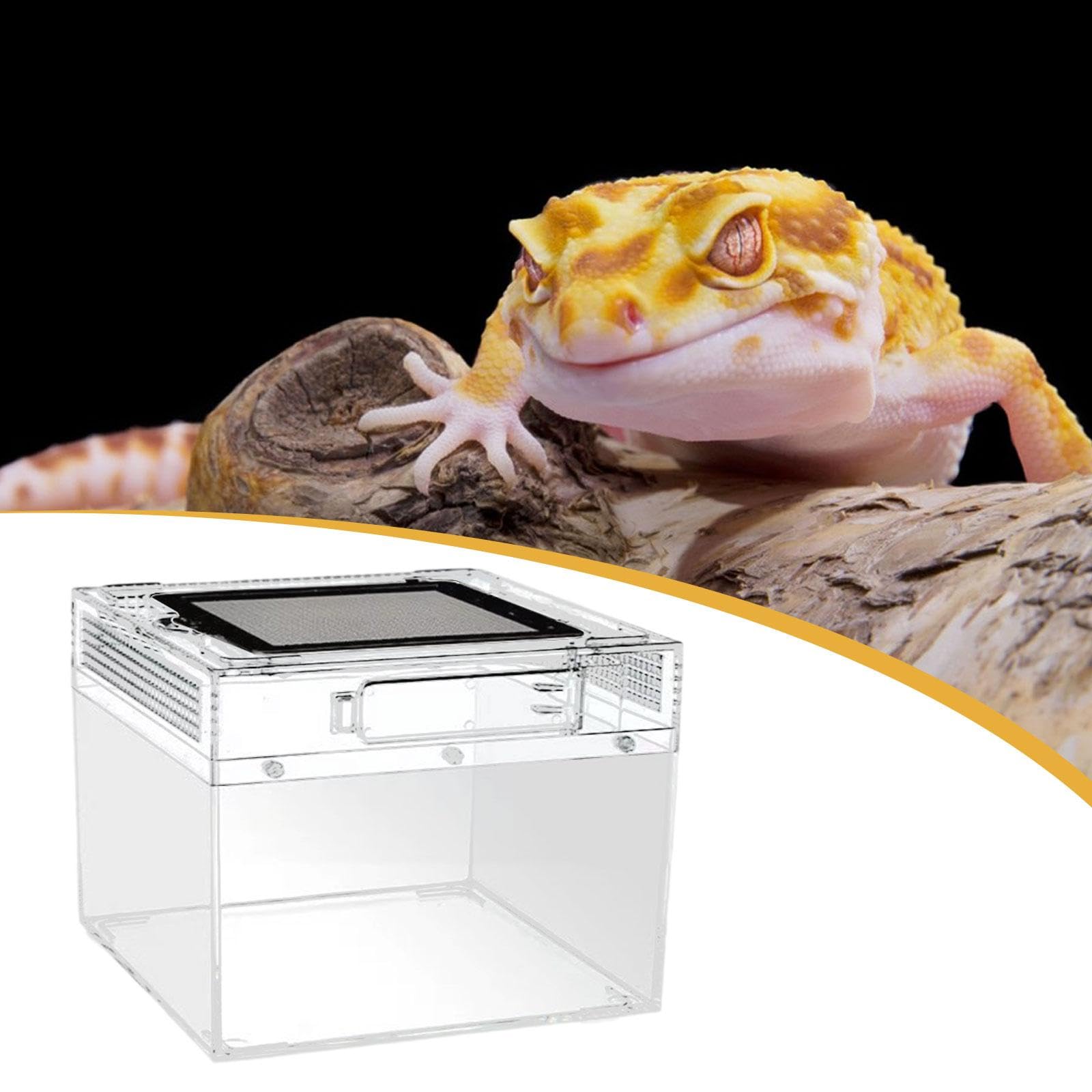 Hábitat Terrario para Reptiles con Completa. Tanque de Cría Atractivo para Ranas, Tortugas Ermitañas Y Reptiles, 20cmx20cmx15cm, Individual