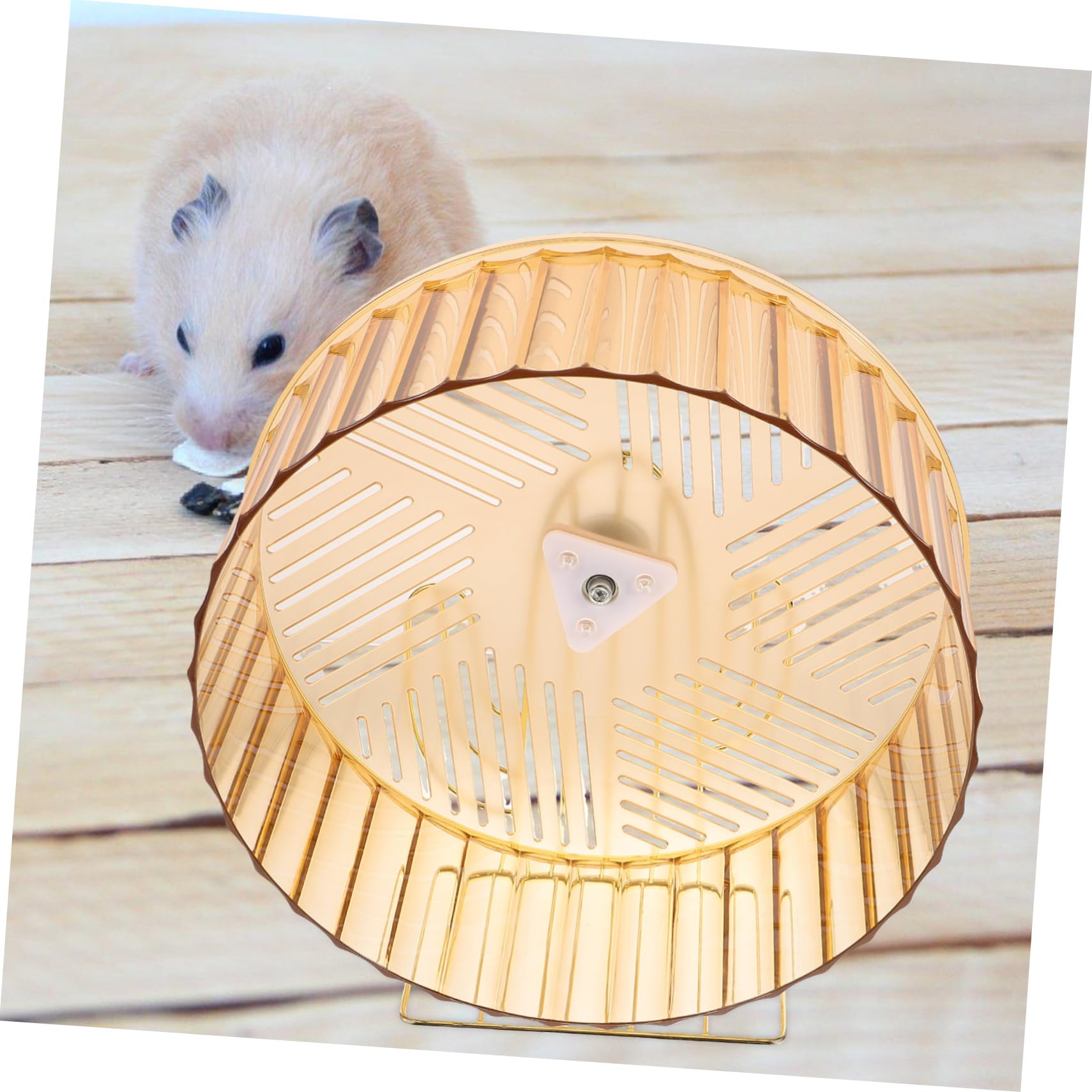 Hohopeti Roue d'exercice pour Chinchilla et Ours en Soie Dorée, en Plastique et Alliage, pour Cage et Activité Animaux de Compagnie Couleur Aléatoire