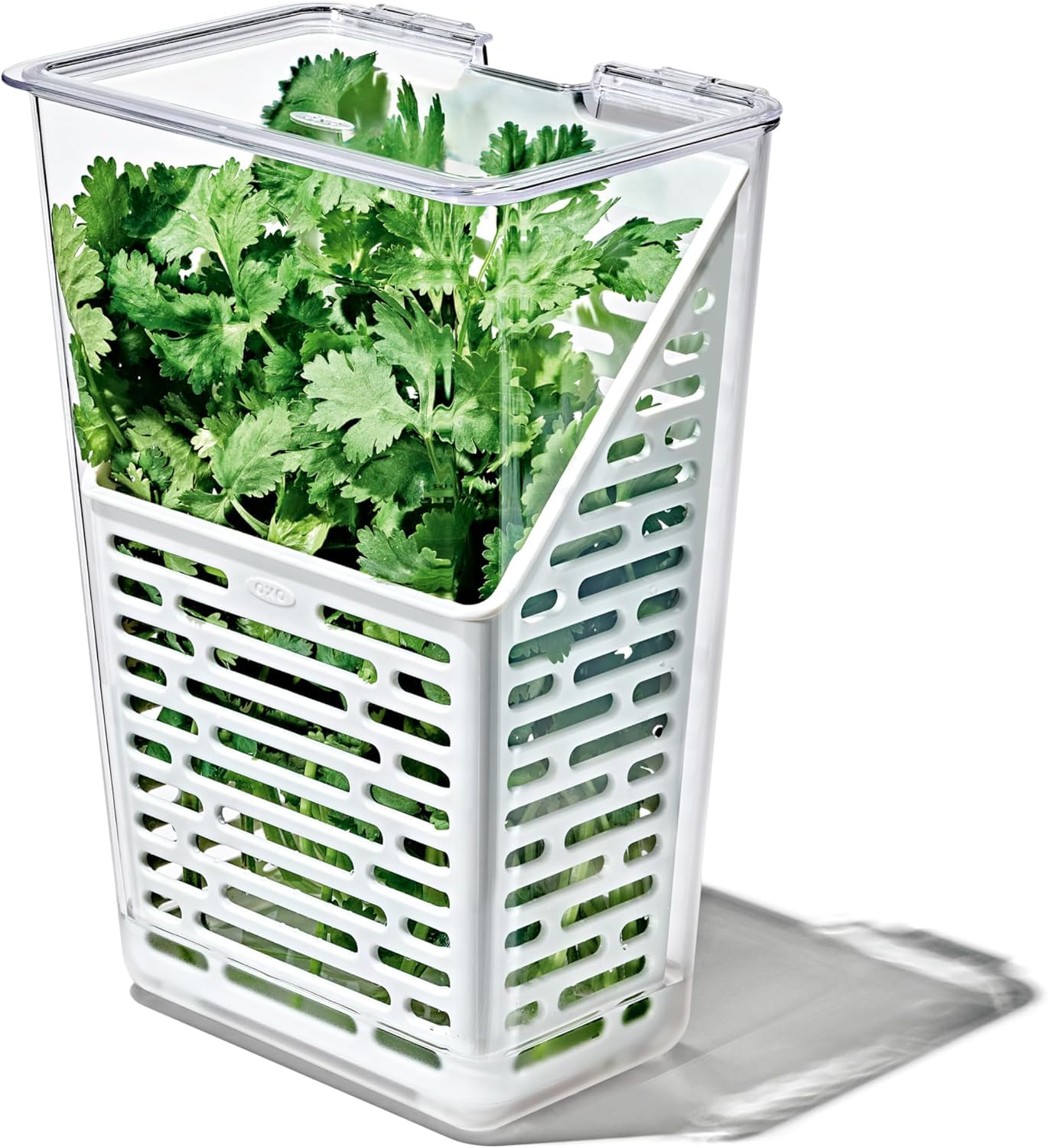 OXO Good Grips Herb Keeper Produce Saver