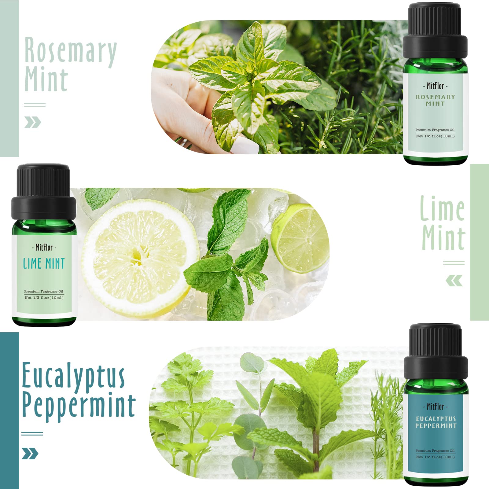 Amazon.com: Fragrance Oils Set of Mints, MitFlor Premium Scented