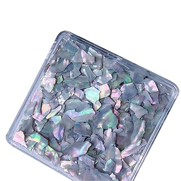 Jewelry Shell Irregular Breakable Abalone Slices Shells Decoration For Tips Jewelry Beauty Decoration