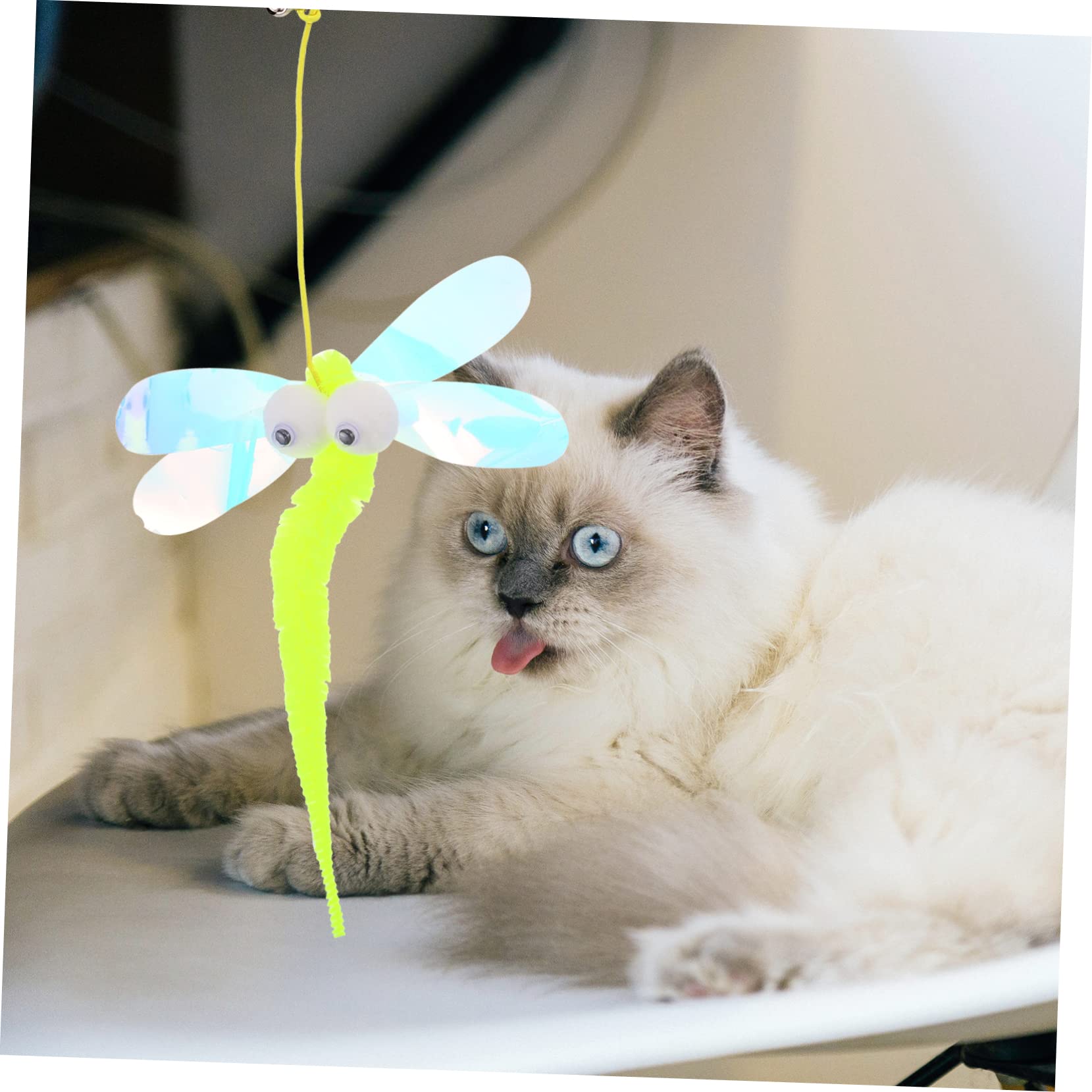Happyyami 10 Piezas Gato Jugando en Columpio Juguete para atrapar Mascotas Juguetes para Gatos Colgantes de Interior Juguetes para Perros pequeños Juguetes domésticos para Puertas de Gatos