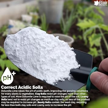 Elixir Gardens Dolomite Lime Fertiliser | Available from 500g-25kg | Soil Conditioner for Acidic Soils | Magnesium Limestone Dolodust | 1kg Tub | Treats up to 20 sq.m
