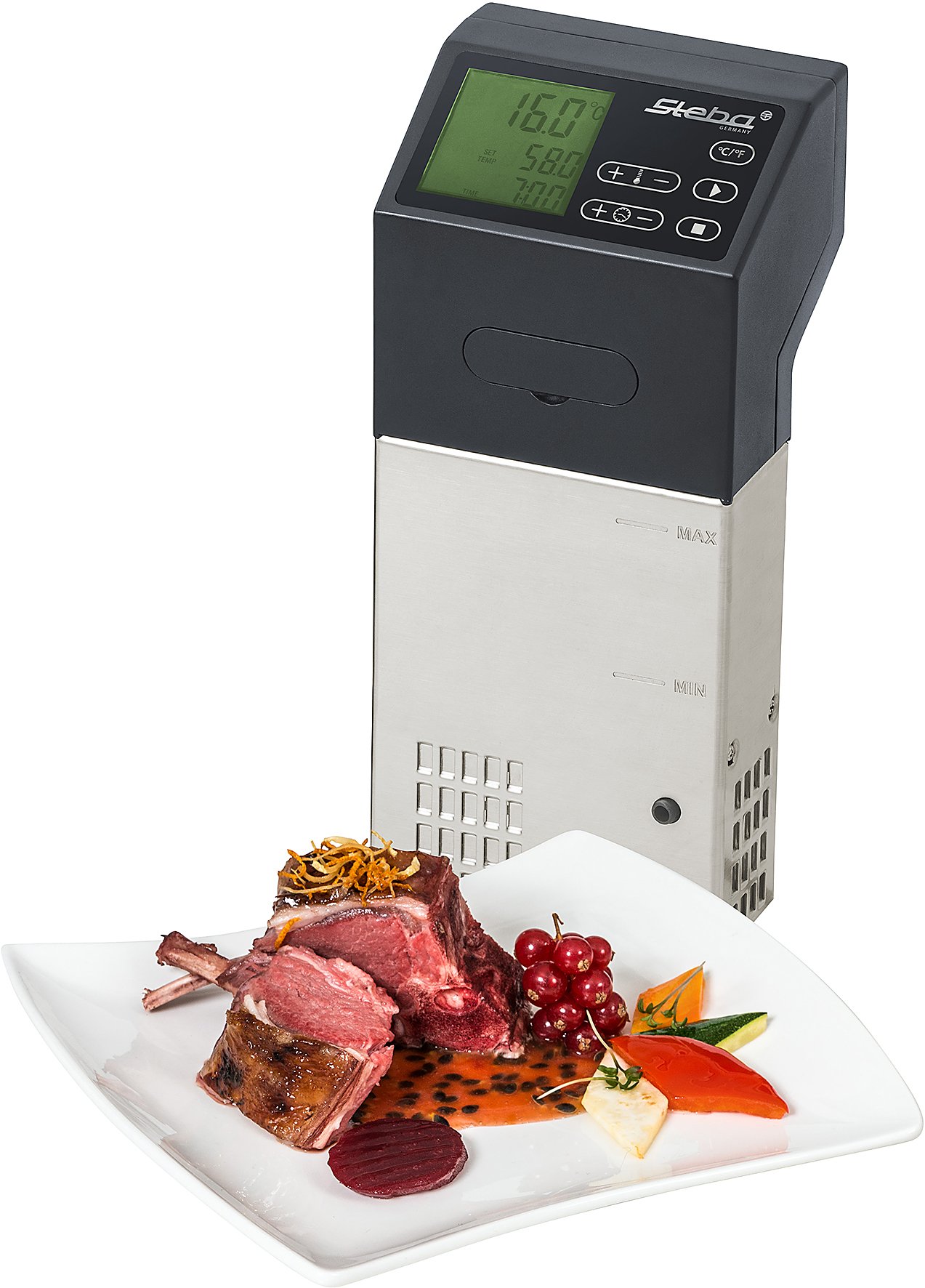 Steba SV 100 Professional Sous-Vide Garer, Schwarz, Edelstahl | Pumpleistung 7,5 L/Min, 1500 W