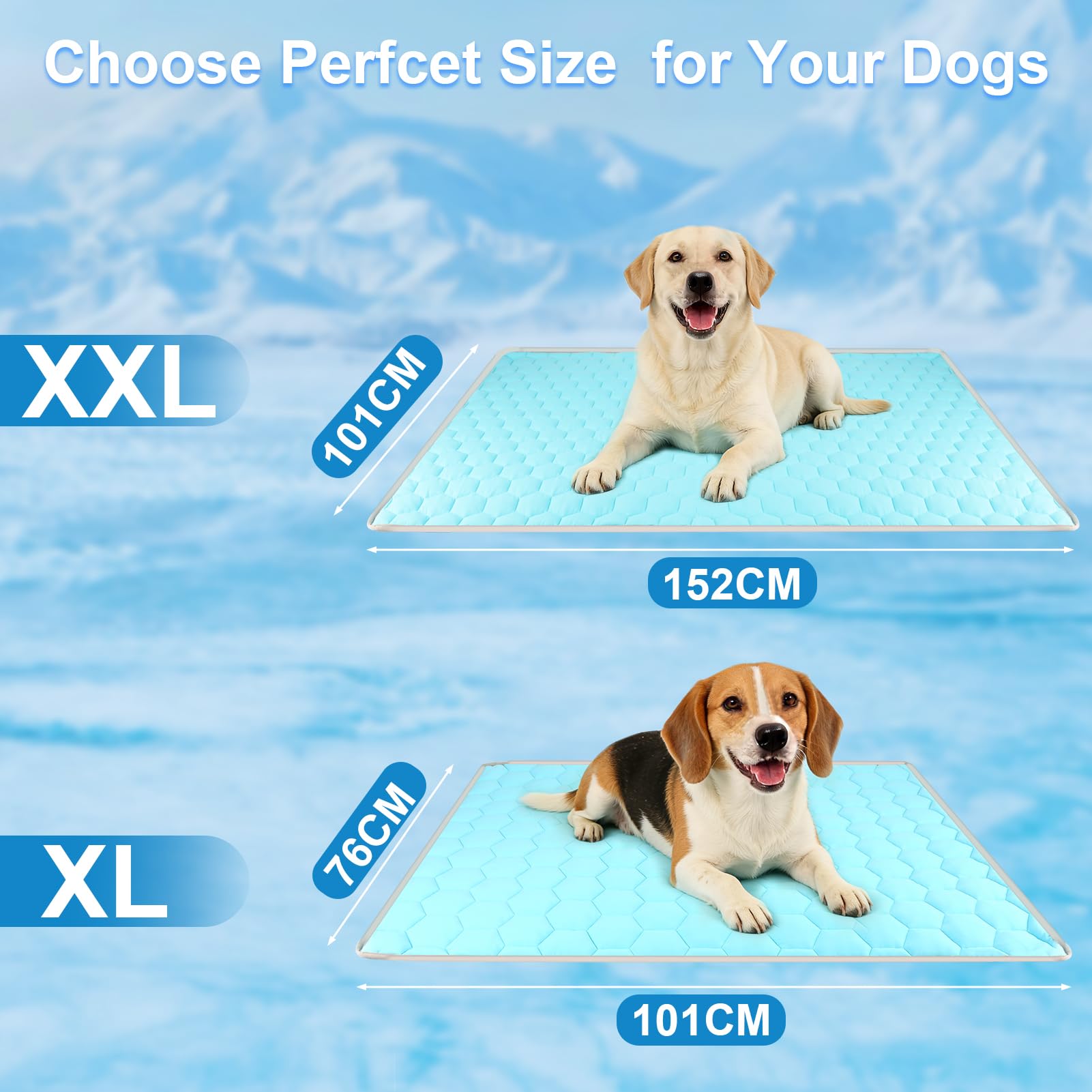 Vivifying Kühlmatte Hund 152 x 101 cm, wasserdichte wendbare Kühldecke Hund aus Eisseide & Samt, Kühlmatte Hund selbstkühlend, waschbar, Sommer & Winter, Sofa, Bett, Box, Boden, Autositz (Blau/Grau)