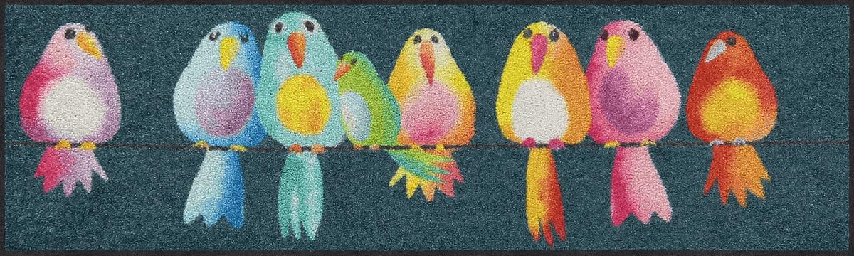 Salonloewe Fussmatte Fussmatte Rainbow Birds I Schmutzfangmatte & Fußabtreter für Innen 30 x 100 cm
