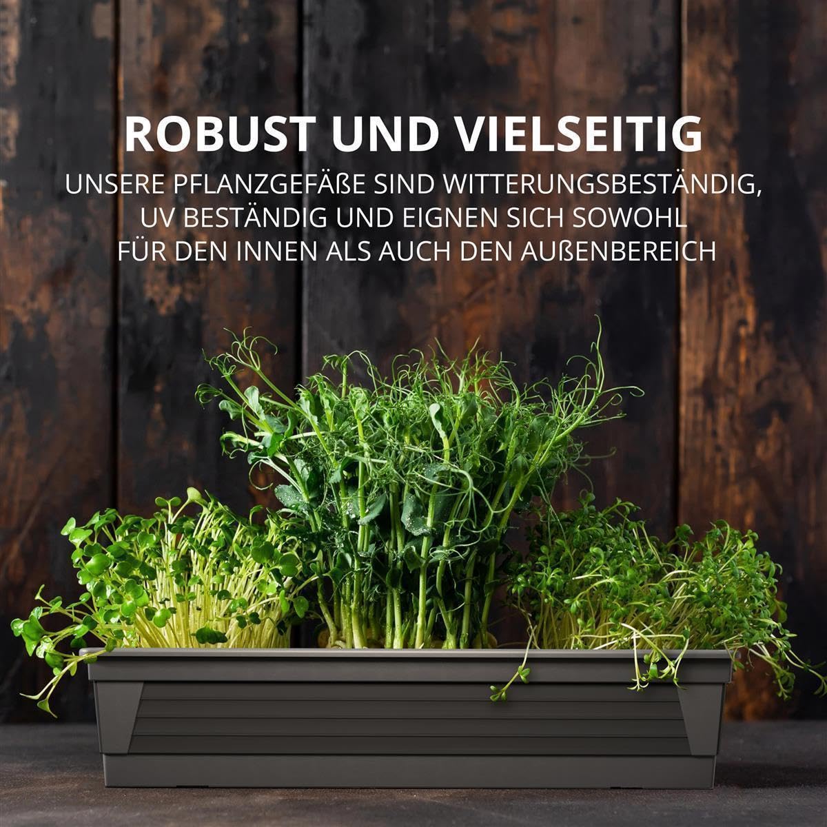 Plastard Blumenkasten 3er Set 60 cm Anthrazit, Pflanzkasten, Balkonkasten | Witterungs-, UV- & frostbeständig, Deko Pflanztopf ideal für Garten & Balkon, Robuster & vielseitiger Pflanzkübel 14 Liter