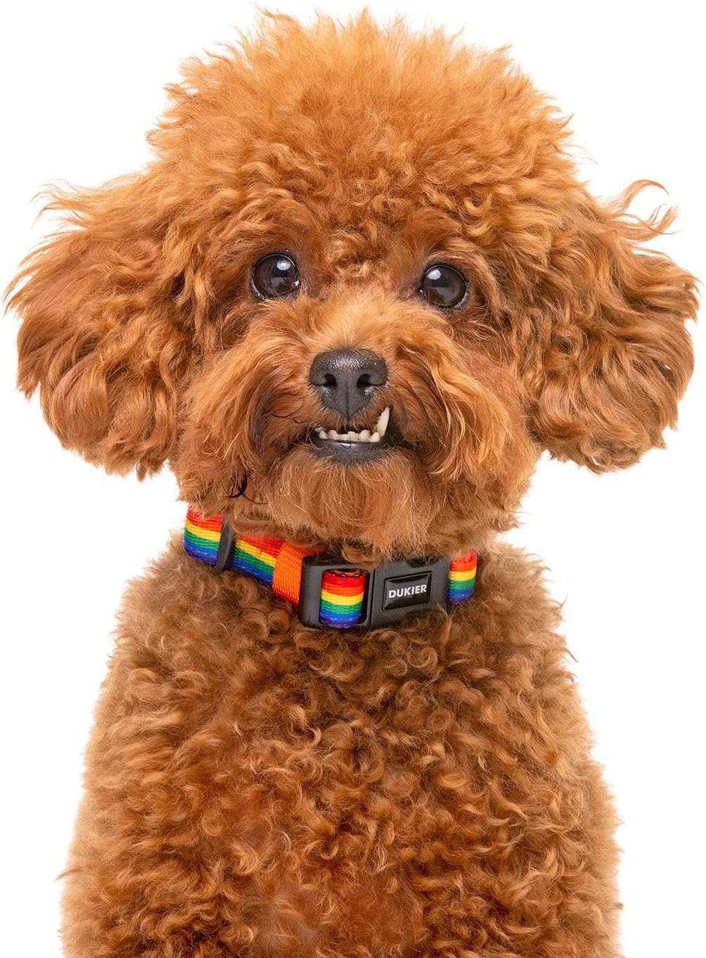 DUKIER - Dog Collar, Adjustable and Adjustable, Neoprene Pet Accessory, Heavy Duty, Unicorns, Size S 4