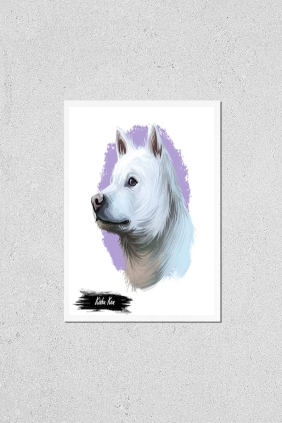 Wall Art Poster Print of Kishu Ken, Kishu-Ken, Ghana | Ubuy