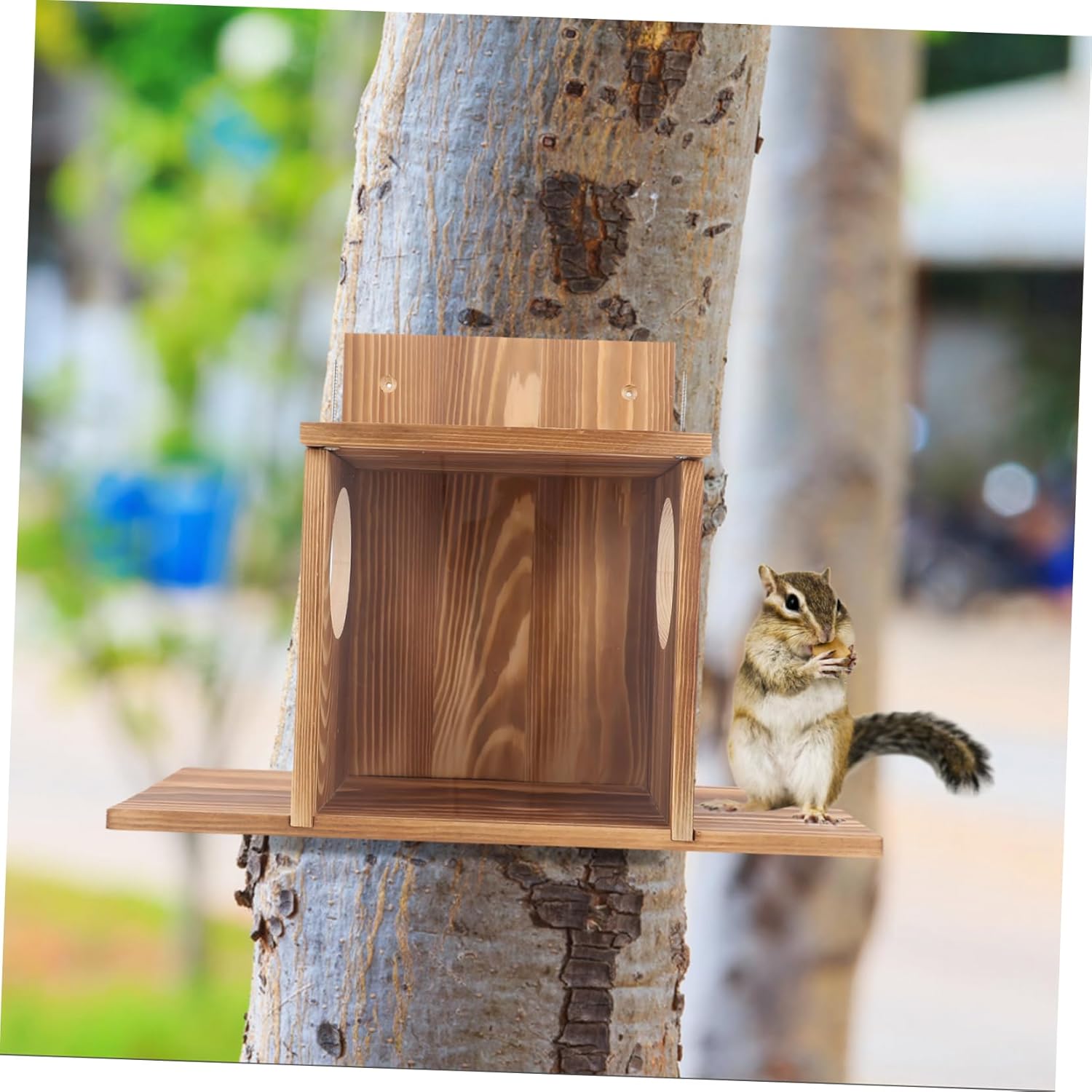 BESPORTBLE Wood Squirrel Feeder for Outside Outdoor Hamster Feeding Box Attract Squirrels Birds Easy to Clean Natural Wood Storage for Nuts Accessory