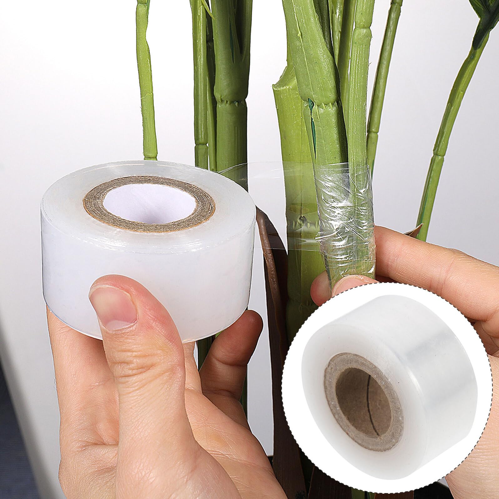 3 Rollen Dehnbares Selbstklebendes Pfropfband aus Farbigem PE Feuchtigkeitsbeständig und Transparent für Obstbäume für Veredelung von Walnuss Pekannuss Zitrusbäumen im Garten