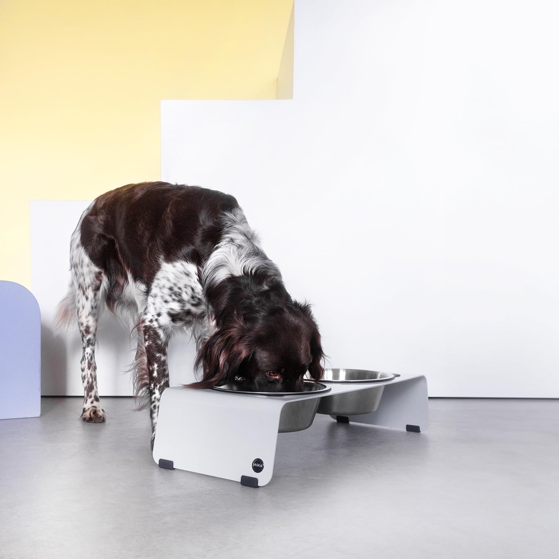 Jaska Comedero para perros elevado, 4 tamaños, varios colores (M, estructura fina mate negra)