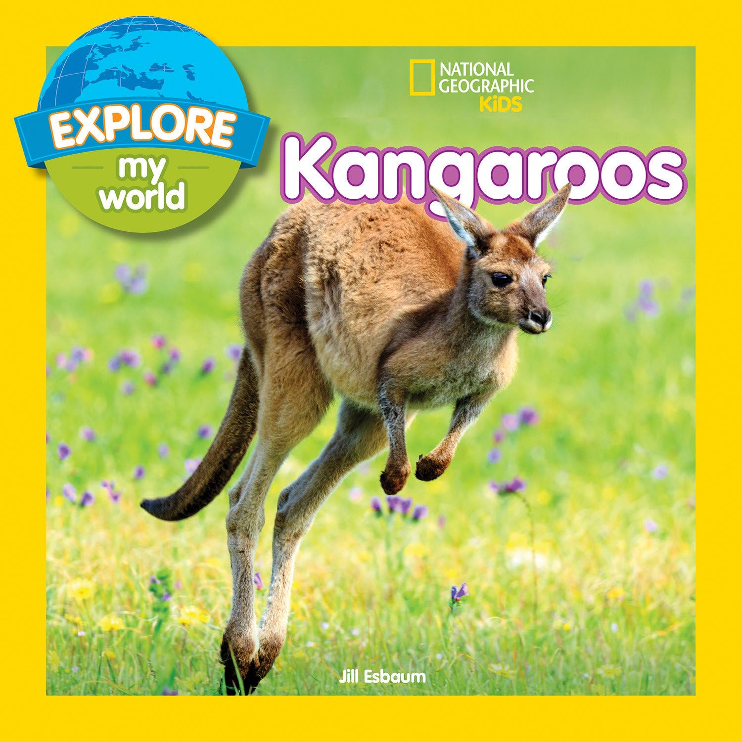 Explore My World: Kangaroos Paperback – July 31, 2018