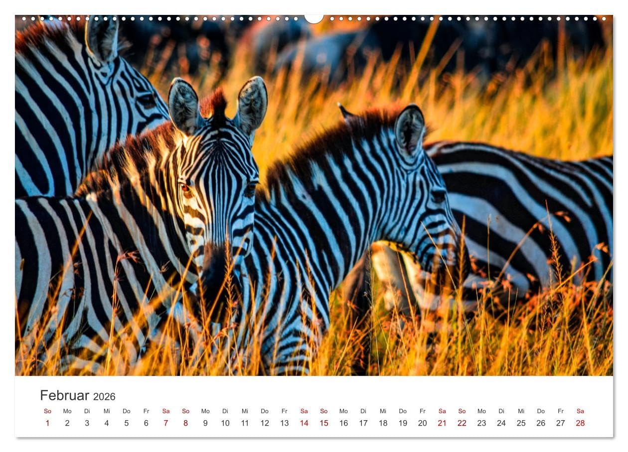 Kenia - Eine Safari durch unberührte Natur. (Wandkalender 2026 DIN A2 quer), CALVENDO Monatskalender: 12 hevorragende Aufnahmen aus Kenia. (CALVENDO Orte)