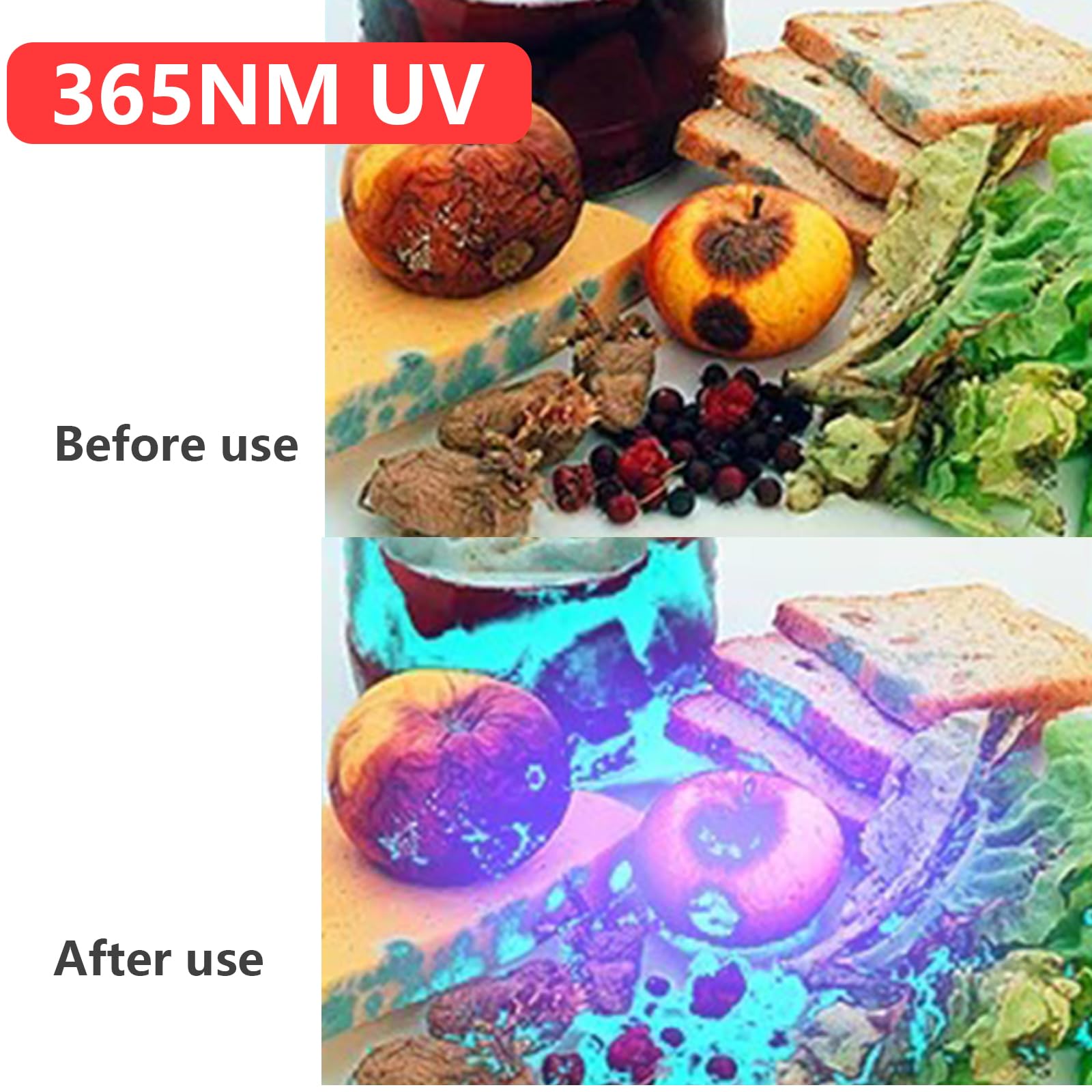 Linterna UV de luz negra, 365 nM, recargable, detector de orina ultravioleta de alta definición para orina de gato, manchas, chinches
