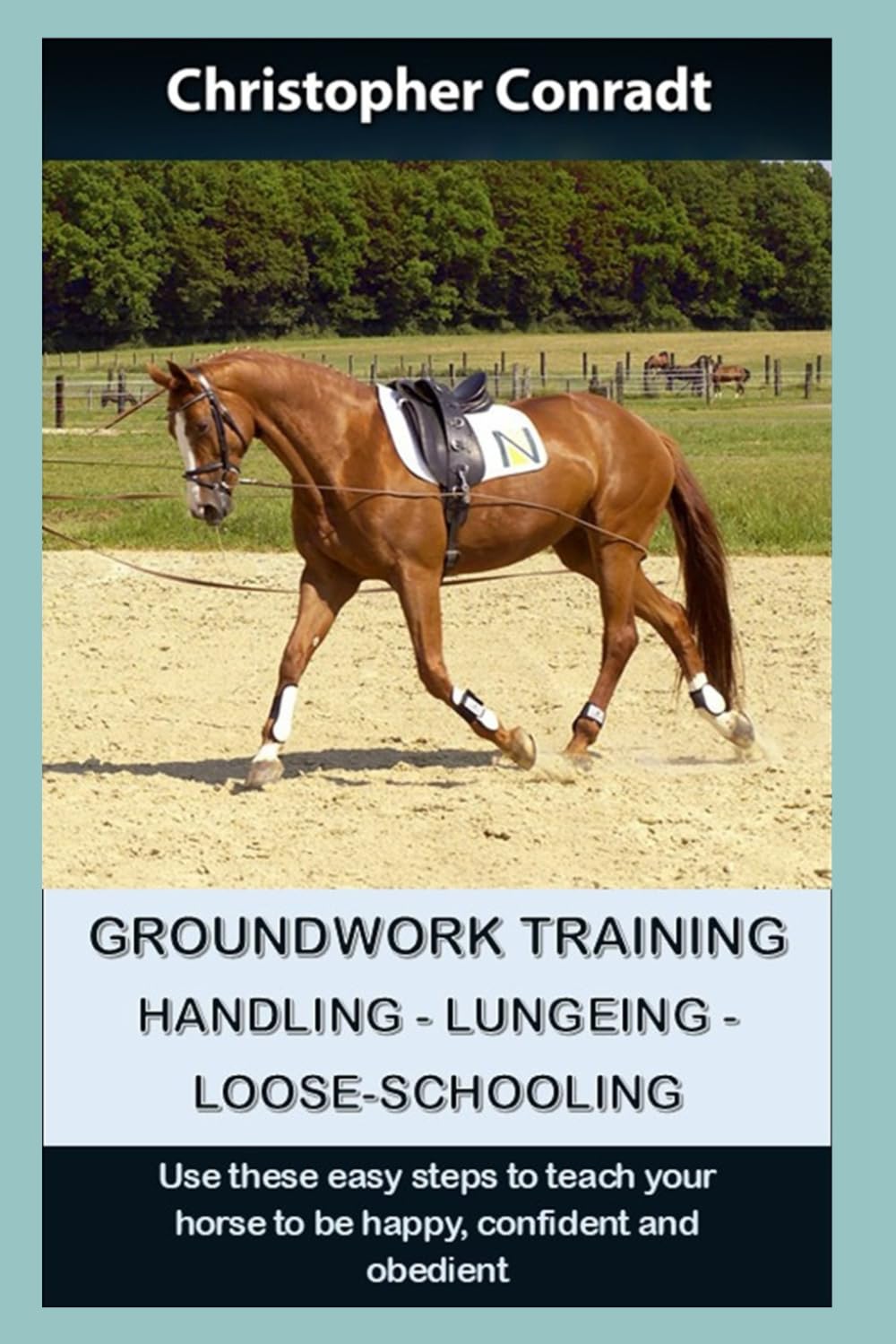 Groundwork Training - Handling - Lungeing - Loose-Schooling: Use these simple steps to teach your horse to be happy, confident and obedient (Avalon Horse Training)