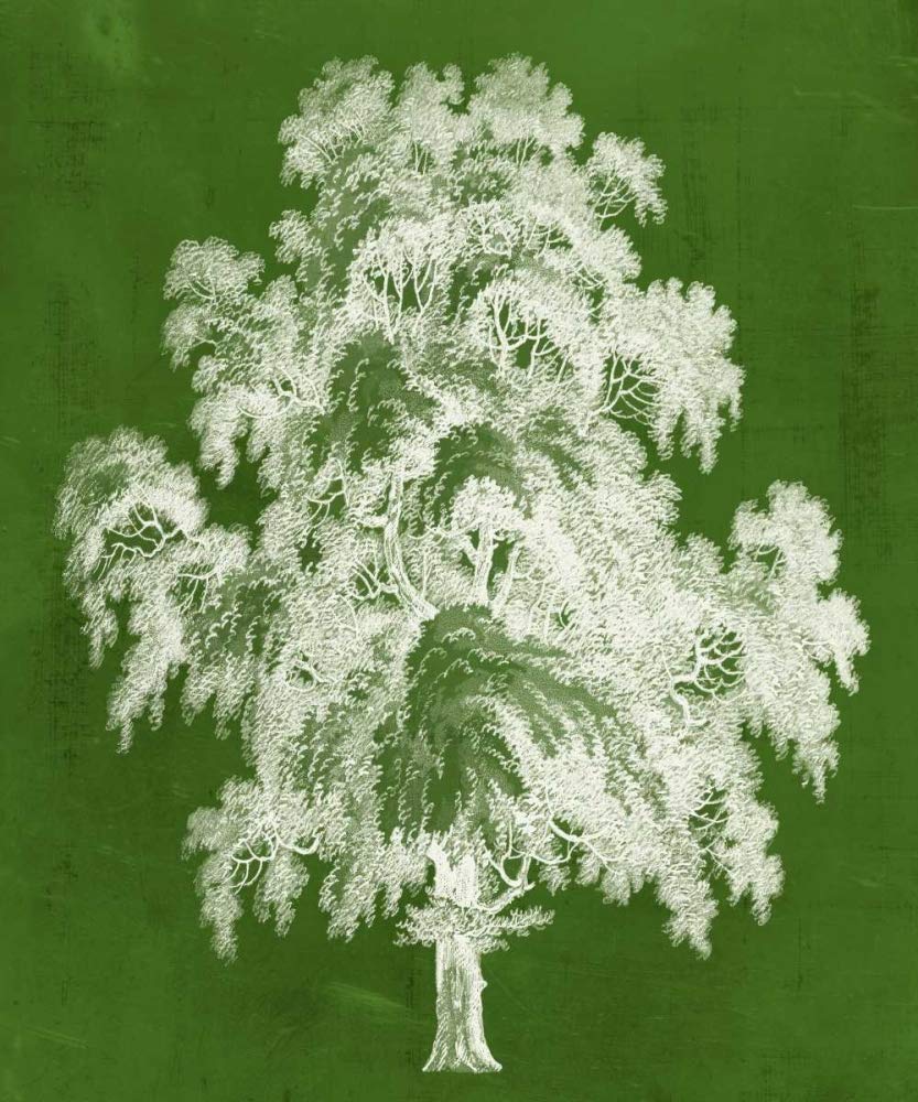 Nowoczesny wydruk plakatu Arbor II - Studio Vision (18 x 24)