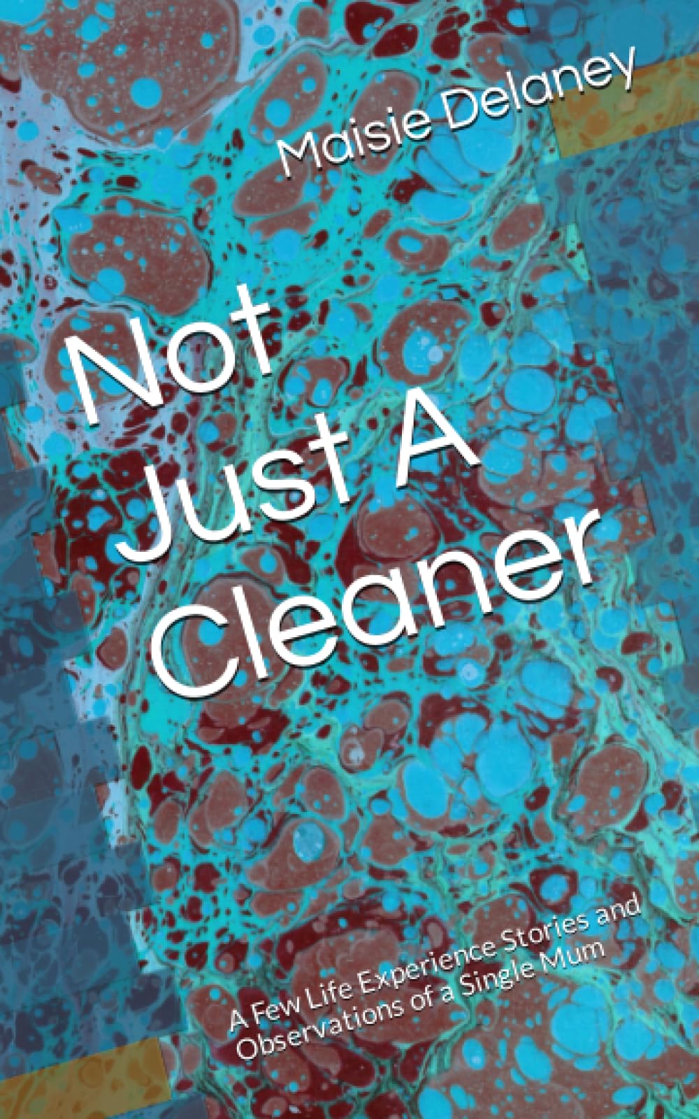 Not Just A Cleaner: A Few Life Experience Stories and Observations of a Single Mum