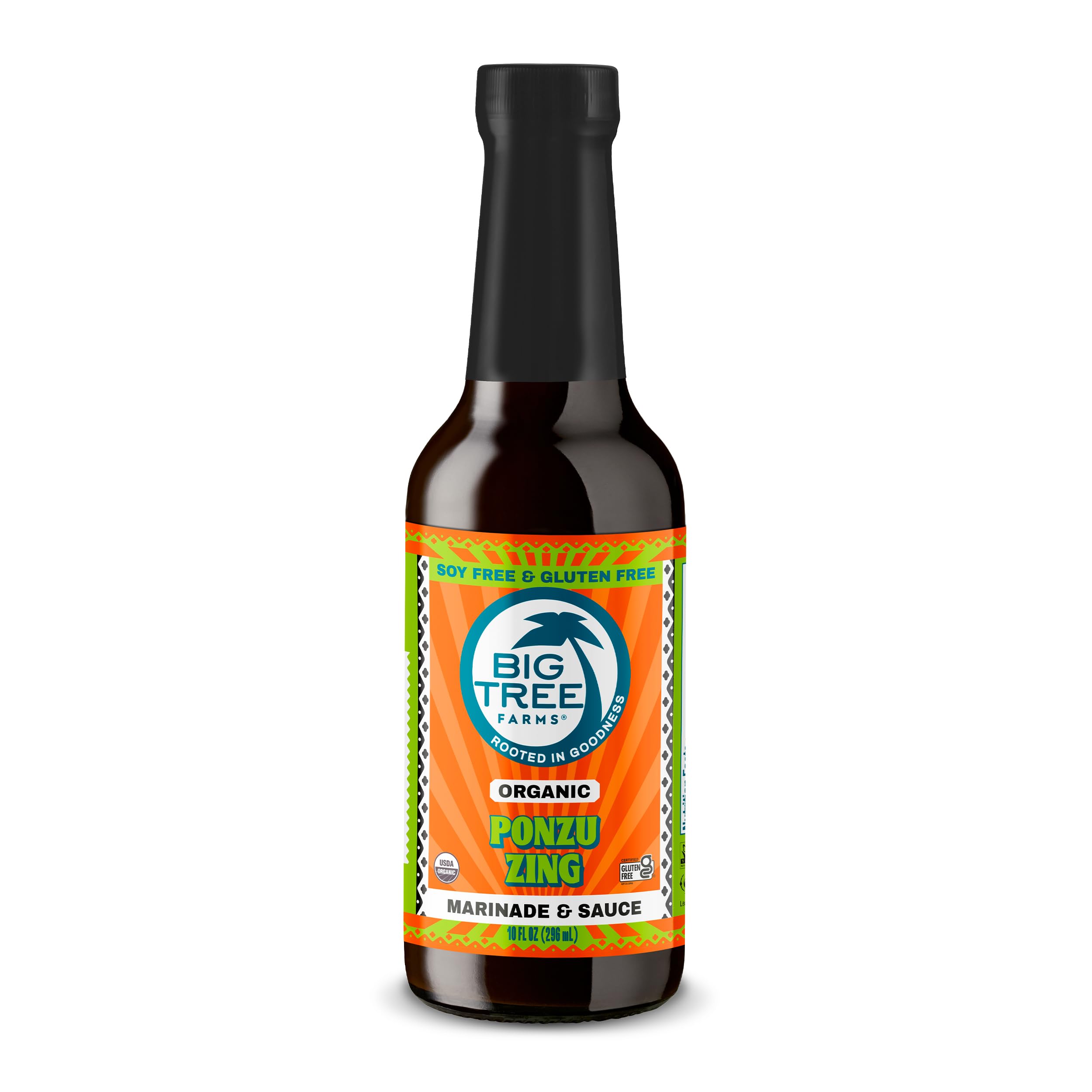 Amazon.com : Big Tree Farms Organic Coco Aminos - Liquid Coconut