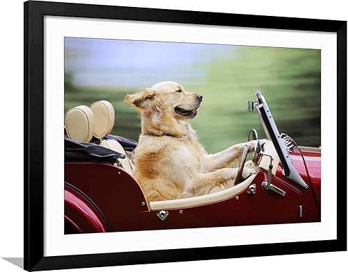 Miniatura 10 de ART.COM Lienzo decorativo para pared, diseño de Golden Retriever conduciendo automóvil, decoración de animales, 18 x 12 pulgadas