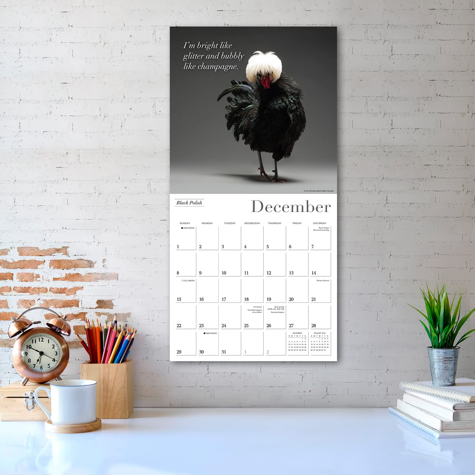 Amazon.com: Glamour Chicks 2024 Wall Calendar, 16-Month Humor & Comic  Calendar, 12" x 12" : Monti, Moreno, Tranchellini, Matteo: Office Products