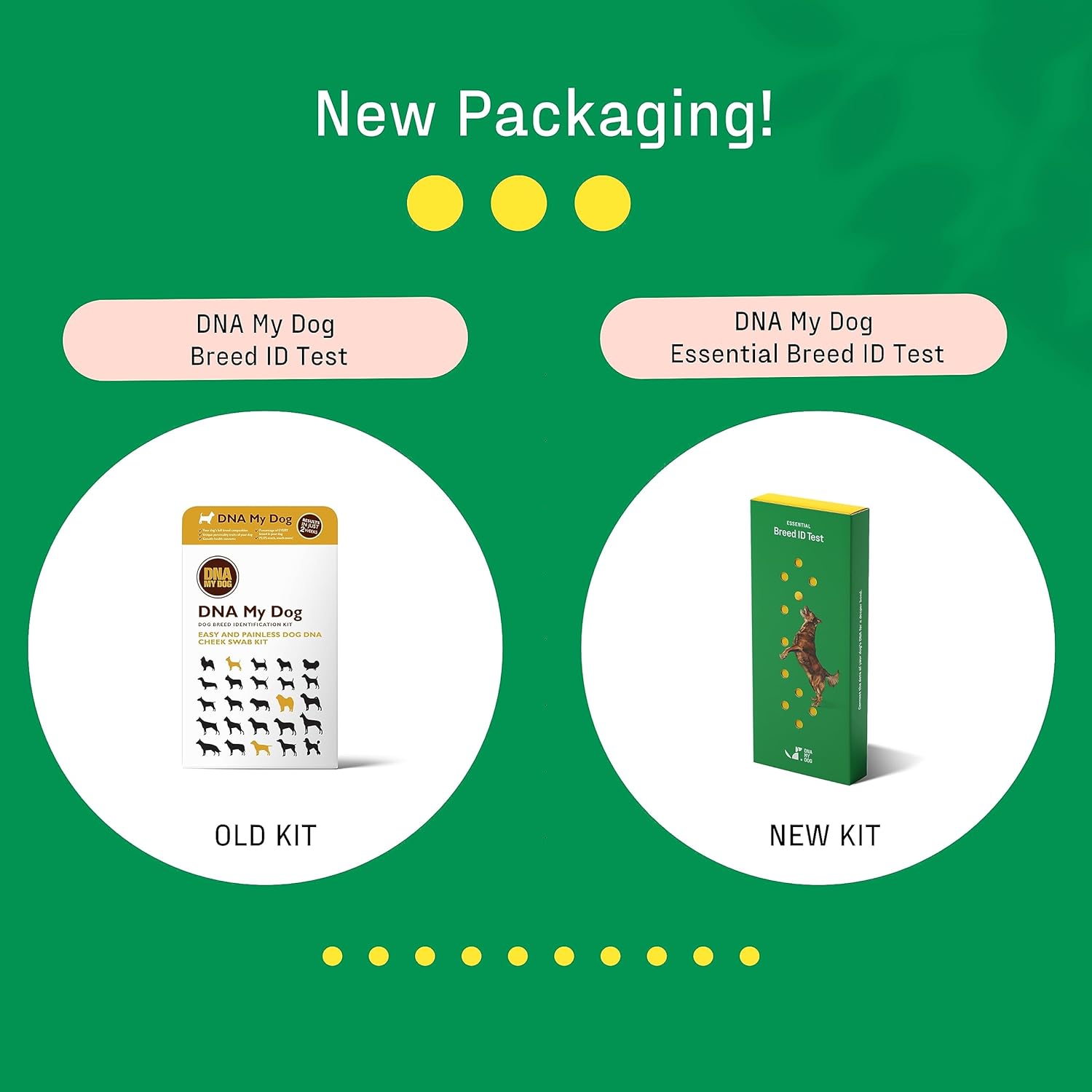 DNA My Dog Trusted & Affordable Breed Identification Test | 350+ Breeds Identified with 99%+ Accuracy | Complete Breed Analysis, Personality and Behavior Insights | Easy Cheek Swab, Results in 2 Weeks - Image 6