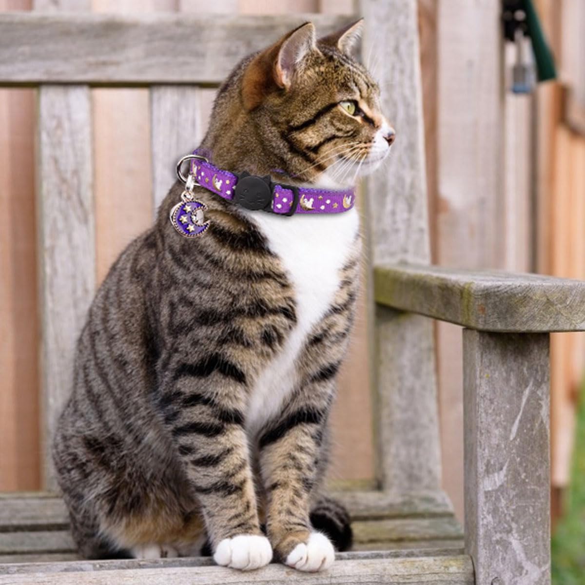 Katzenhalsbänder mit Trennverschluss, für Jungen und Mädchen, verstellbar, mit Glöckchen, Violett + Scharlachrot, 20,3 cm - 33,3 cm, 2 Stück