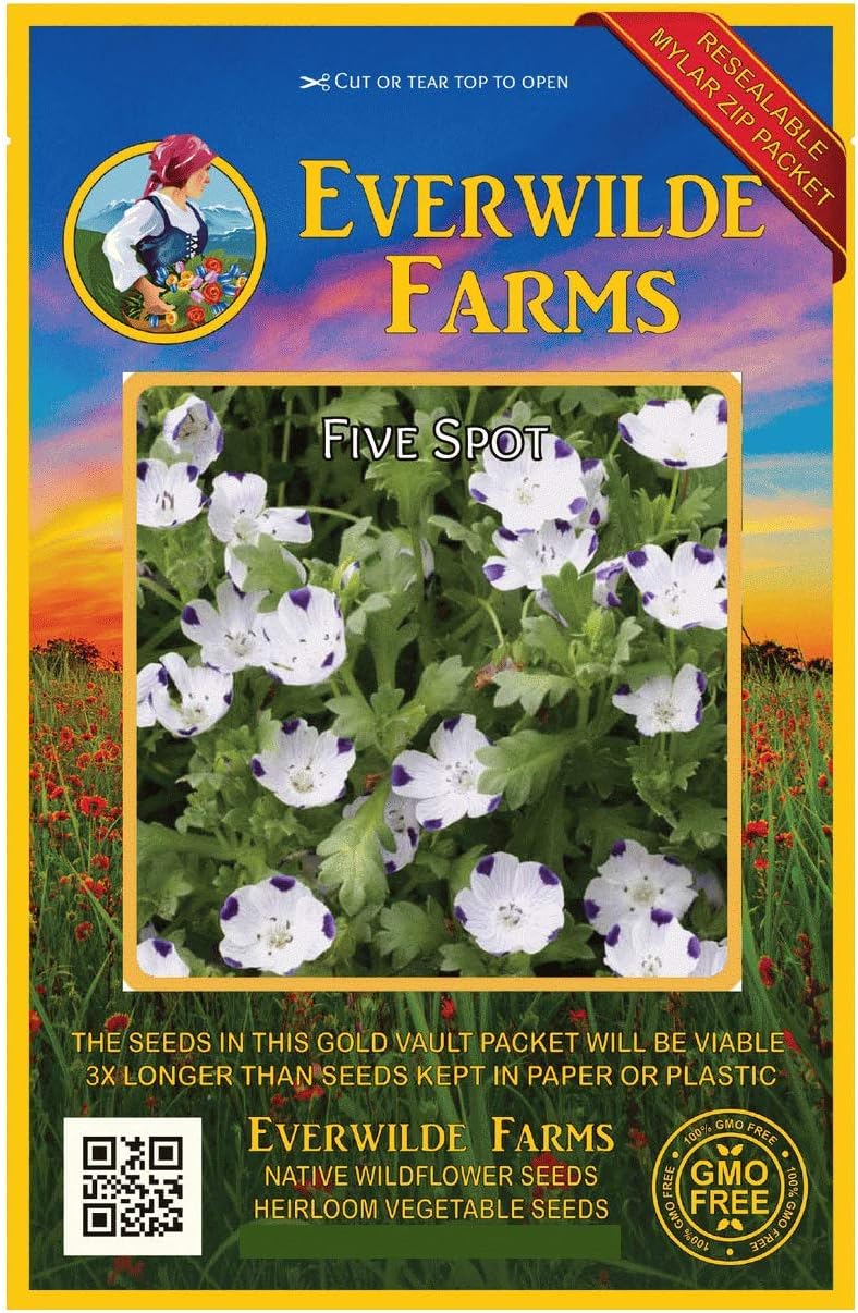 Everwilde Farms 500 Five Spot Native Wildflower Seeds