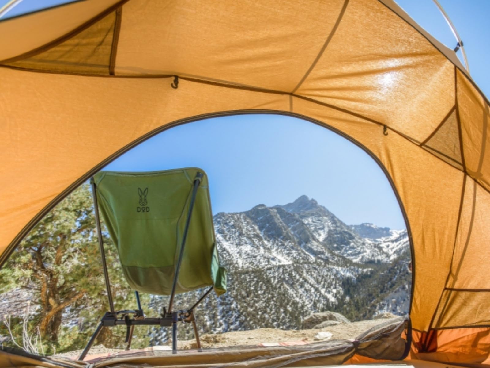 Amazon.com: DOD Outdoors : Shop All