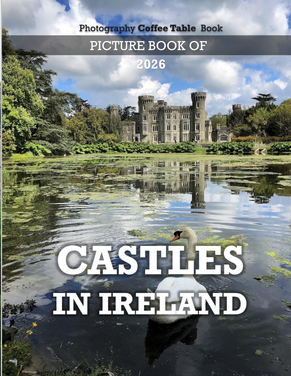 CASTLES IN IRELAND: Beautiful photos showing an amazing country, its architecture and unique charm-perfect for travel lovers.