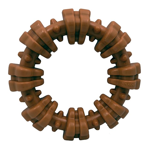 Anillo Juguete para Perros Nylabone DuraChew