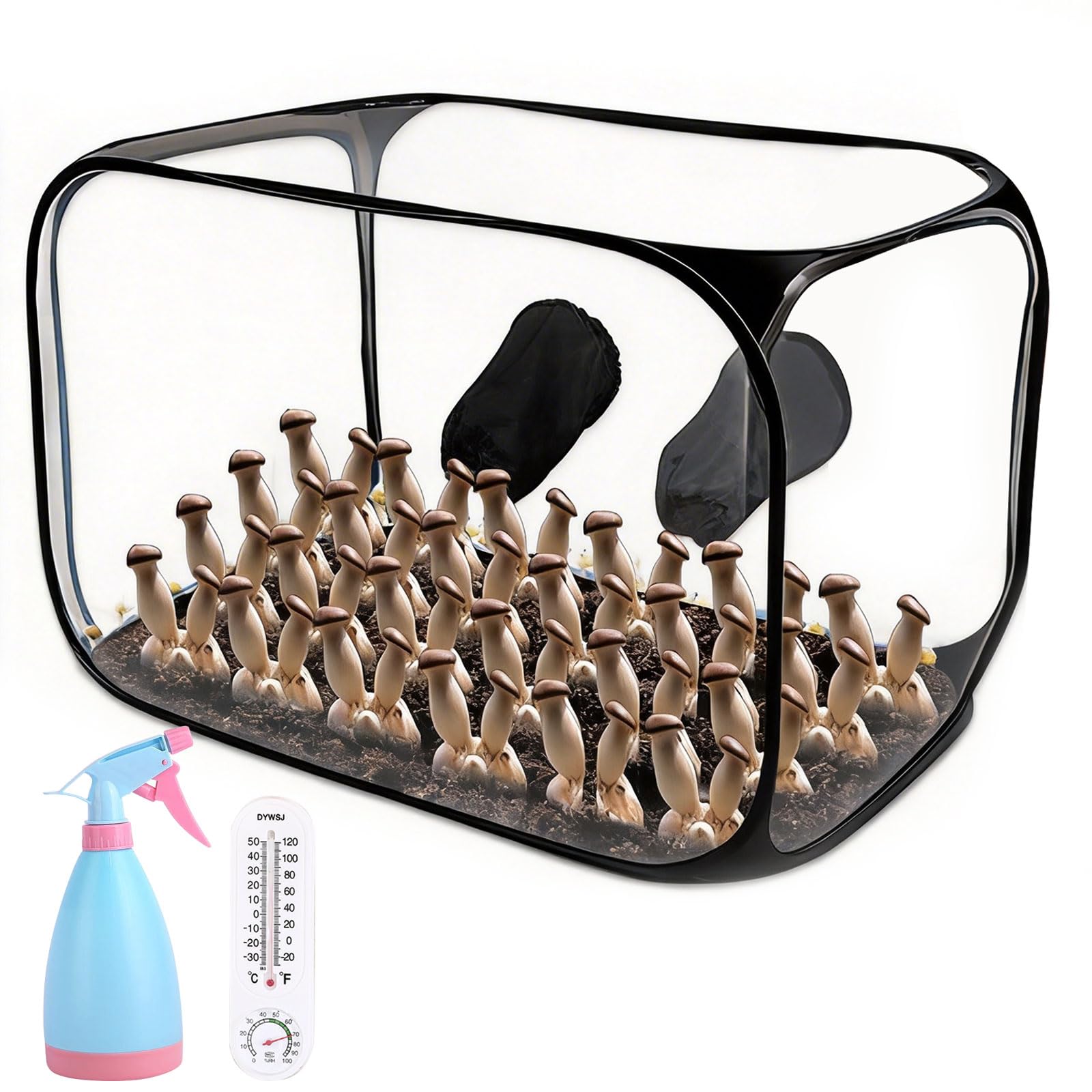 Mushroom Cultivation Still Air Box - Foldable Transparent Mushroom Grow Tent Kit