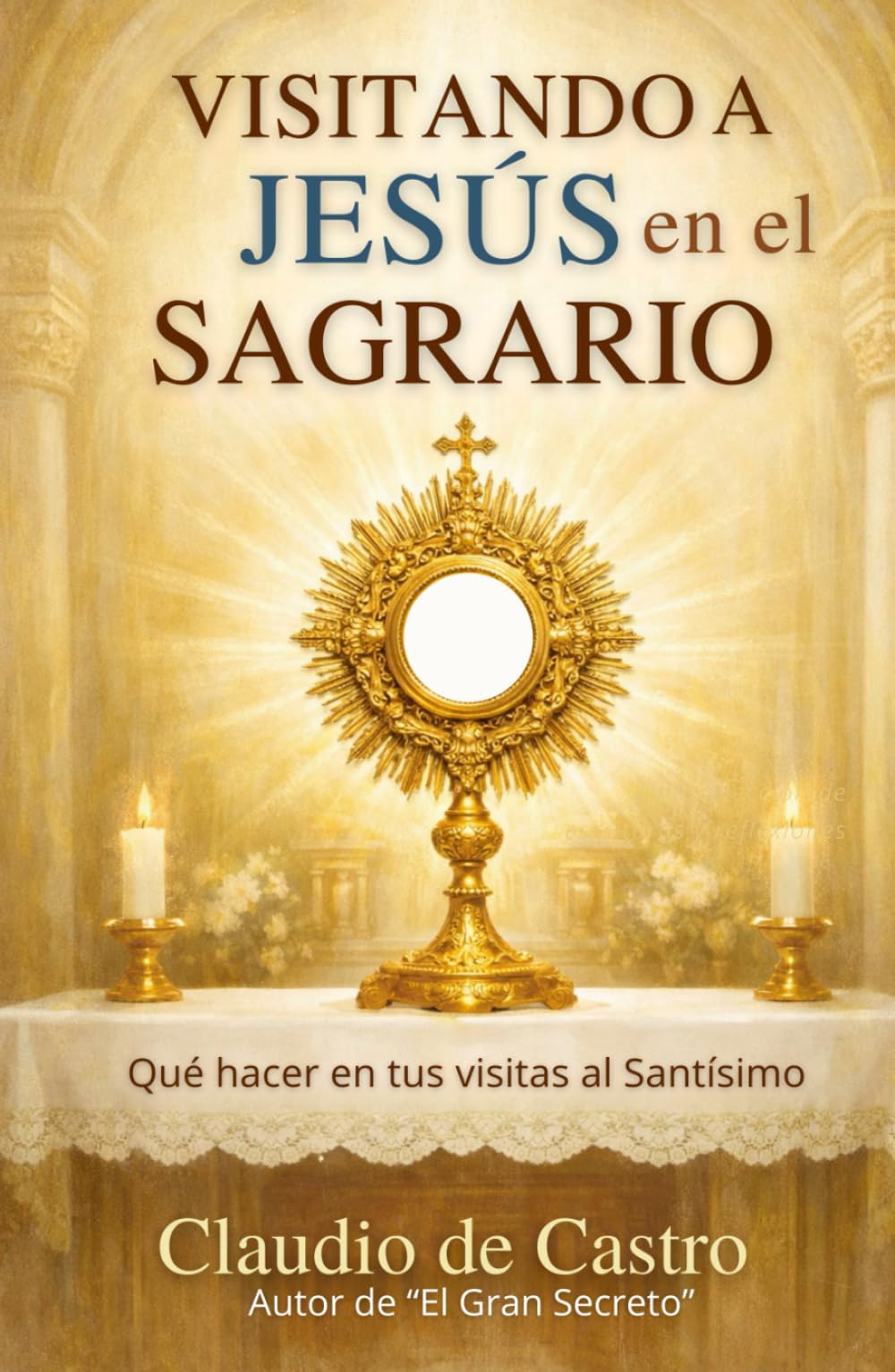 Visitando a Jesús en el Sagrario.: Qué hacer en tus visitas al Santísimo. Meditaciones. Oraciones. Testimonios. La Hora Santa (Libros Eucarísticos)