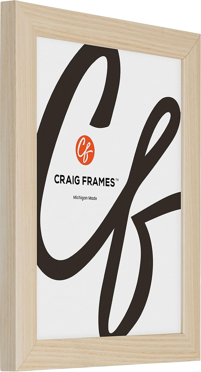 Craig Frames Contemporary, 14x18 Picture Frame, Natural