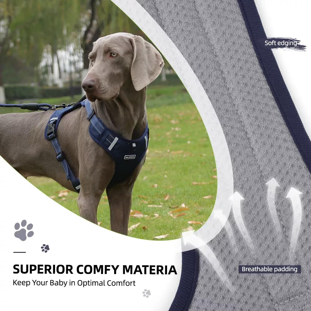 Arnés de seguridad Chest Plate para perros pequeños, medianos y grandes con correa, 1,5 m (azul oscuro, L)