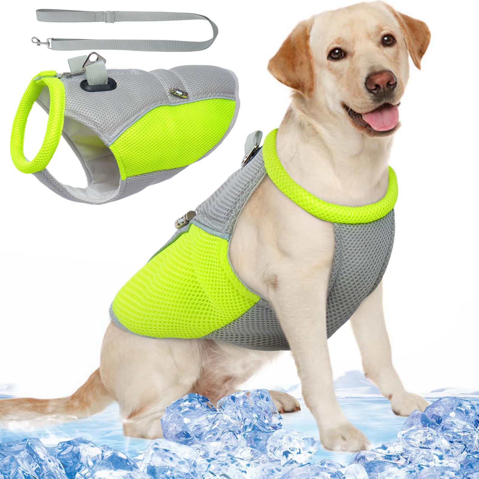 Hjyokuso Chaleco refrescante para Perros, Abrigo de enfriamiento para Perros con Correa, Abrigo de enfriamiento para Perros pequeños, medianos y Grandes,Chaqueta de enfriamiento para Perros livianos