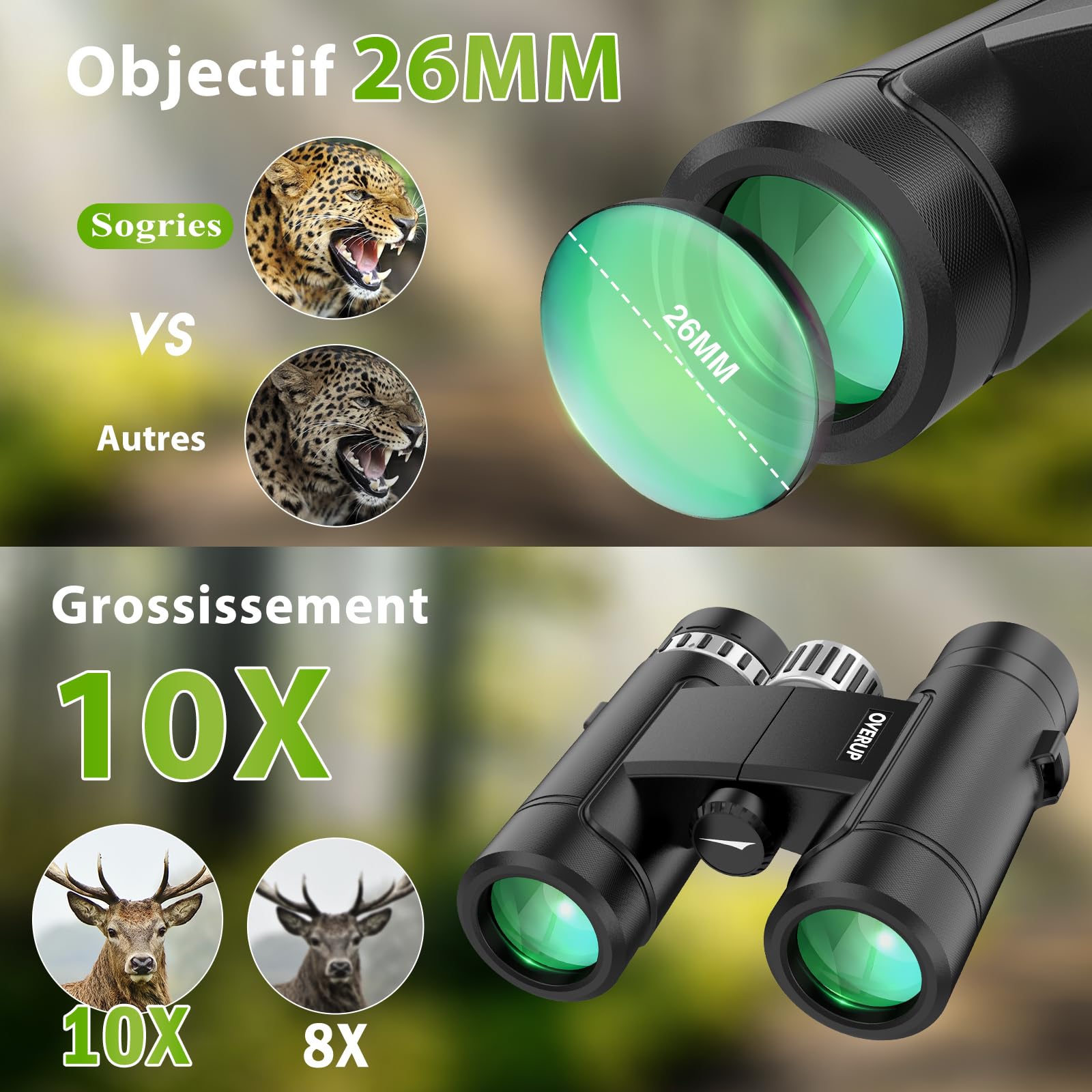 Jumelles 10x26 Compactes pour Adultes | BAK4&FMC, Légères et portables, vision basse lumière, étanches, pour observation nature, voyages et activités extérieures