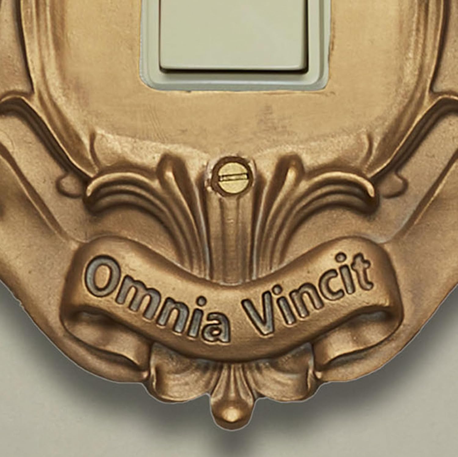 Royal Fleur-De-Lis Lighting Switchplate | Aged Gold | Single Rocker/Dimmer/GFCI Outlet Plate | Traditional Style Light Cover with Dimensional Fleur, Scrollwork, and Latin Banner | Hardware is Included