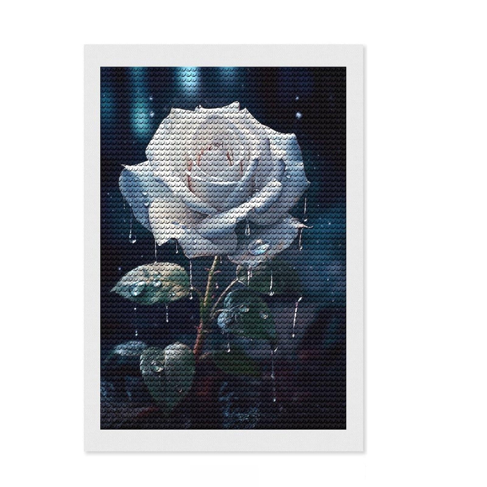 Junmoney Rainy White Rose Flower Diamond Art Canvas 8"x12", Sparkling Round Gems, Neat Printed Canvas, with Tool Kit, Office Decor, Printed Canvas