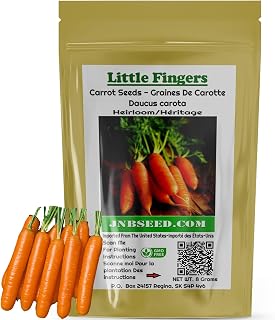 Little Fingers Carrot Seeds for Planting (Approx. 4,800 Seeds-8 Grams) Delicious Baby Carrots Heirloom Vegetable Gardening