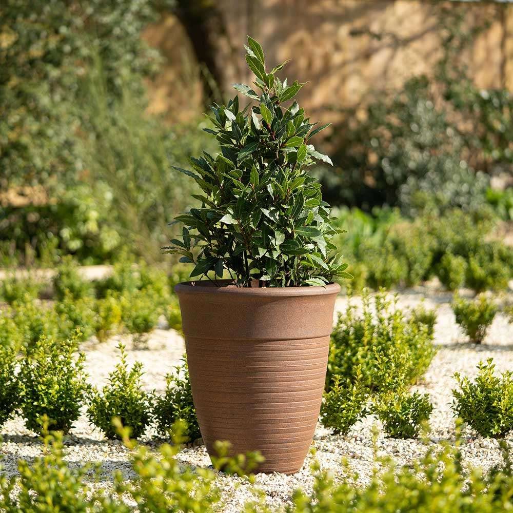 Primrose Medium Plant Pot Tall Flower Pot Round Plastic Planter In Rust 49Cm (19.3In)